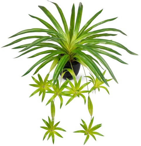 GnFlus Fake Hanging Plant, Faux Spider Plant in Pot Artificial Grass Plants Faux Chlorophytum Comosum Potted Plants for Home Office Table Shelf Desk Kitchen Bathroom Bedroom Decor Green