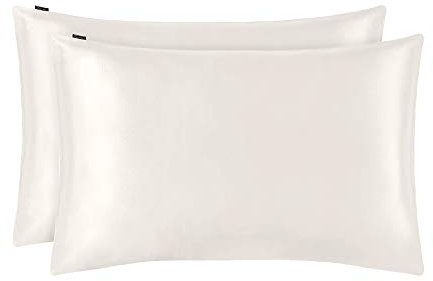 25 Momme Seidenkissenbezug [1 Stück] – Hypoallergen, Anti-Haarausfall, Hausstaubmilbenresistent, nische Maulbeerseide, 40 x 60 cm, Haarschutz, Elfenbeinfarben