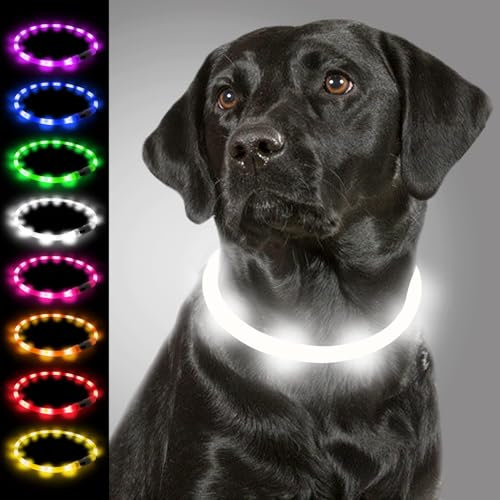 Joytale Light Up Dog Collar, Flashing LED for Night Walking, Rechargeable Glow Collars for Puppy Small Medium and Large Dogs, White