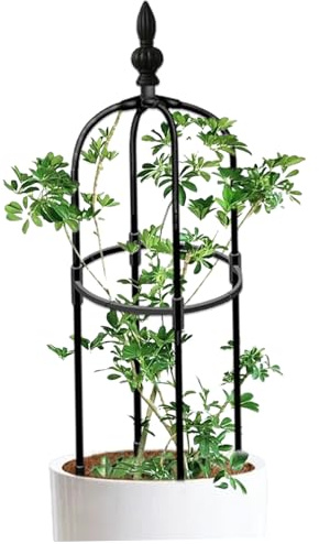 Enrejado de obelisco para jardín de 90 cm de Alto Redondo Resistente a la corrosión para Plantas trepadoras de Bricolaje fácil de Montar para macetas Plantas trepadoras de jardín de Interior.