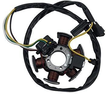 Lichtmaschine Stator Stator-Magnetspule Für Für RS50 Für RX50 Für MX50 Motorrad-Roller-Motoren Für AM6