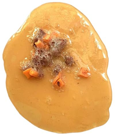 Générique Faux Vomit Barf,Vomi Toy - Faux vomi réaliste Barf,Farces Barf pour Amis farceurs, démonstration éducative, Accessoires de fête d'halloween, Accessoires de cinéma et de télévision
