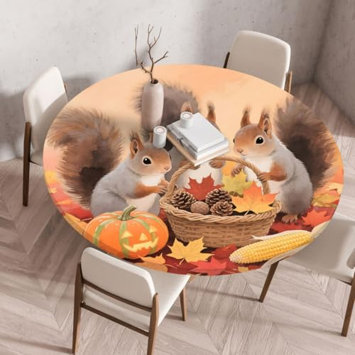 Chickwin Elastische Runde Tischdecke 3D Thanksgiving-Herbstkürbis-Eichhörnchen Muster Wasserdicht rutschfeste Garten Tischdecke mit Gummizug für Drinnen Draußen Esstisch (Stil 3,90cm)