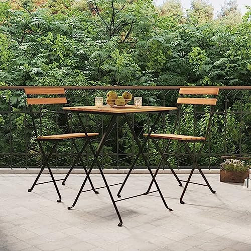 DYRJDJWIDHW gartenstühle,klappstuhl,campingstuhl klappbar,klappstühle,Bistrostühle Klappbar 2 STK. Massivholz Teak und Stahlcampingstuhl,Balkon Stuhl,gartenstuhl klappbar,Sun Garden,