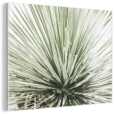 MuchoWow Glasbild Glasfoto Wandbild Bilder Deko 80x60 cm Grün - Blätter - Natur