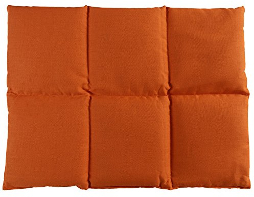 Coussin aux graines de groseille 40x30 - Coussin chauffant pour le dos ... - Bouillotte sèche - Compresse chaude ou froide (6 compartiments; Design: orange)