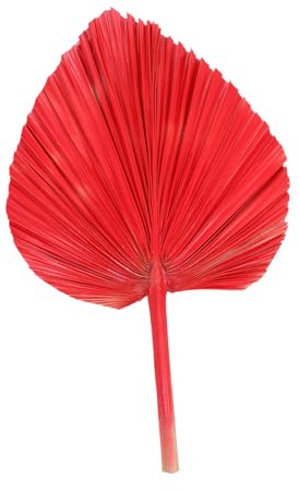 FUNOMOCYA Palma Secas Decorativas para Bodas y Fiestas Accesorio de Escenografía Natural para Arreglos y Decoración de Ventanas