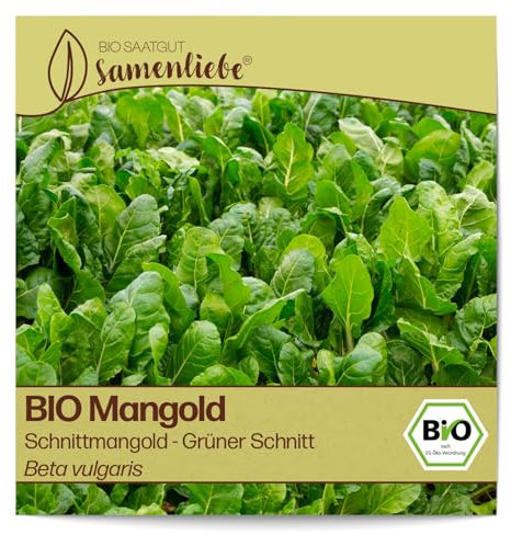 Samenliebe BIO Schnittmangold Samen Grüner Schnitt Stielmangold Schnittmangold 200 Samen samenfestes Gemüse Saatgut für Gewächshaus Freiland und Balkon BIO Gemüsesamen winterhart