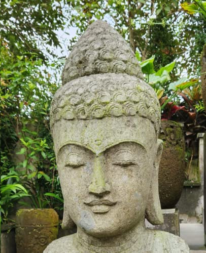 Zen Shiva Notebook/Diary/Journal: 150 lined pages