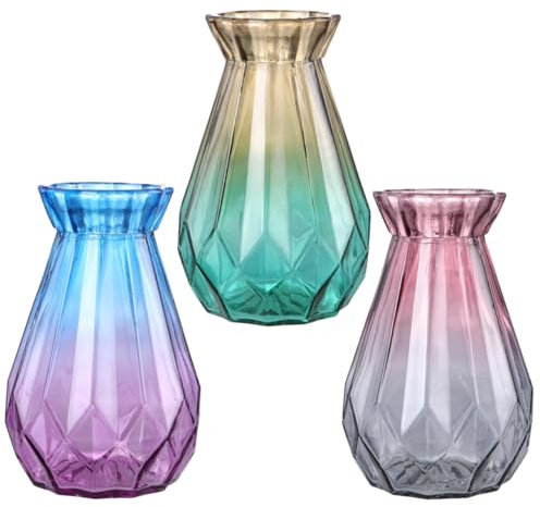 Zerodeko 3piezas Jarrones De Vidrio Hidropónicos para Flores Secas y De Decorativos para Hogar y Oficina Diseño Elegante