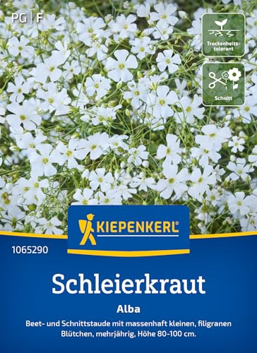 Kiepenkerl Schleierkrautsamen Alba 1065290, Blumensaat | Beet- und Schnittstaude mit massenhaft kleinen, als Schnittblume, mehrjährig, für Beet & Schnittblumen
