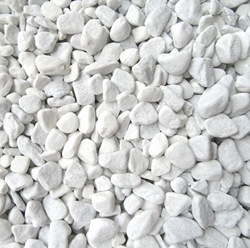 Xabian 5 kg de pierres décoratives blanches, 7-15 mm