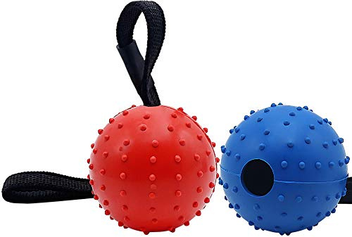 Vivifying Hundeball am Seil, 2 Stück aus Naturkautschuk, Blau + Rot | Interaktives Hundespielzeug zum Apportieren, Fangen, Werfen und Tauziehen – für aktiven Spielspaß drinnen und draußen