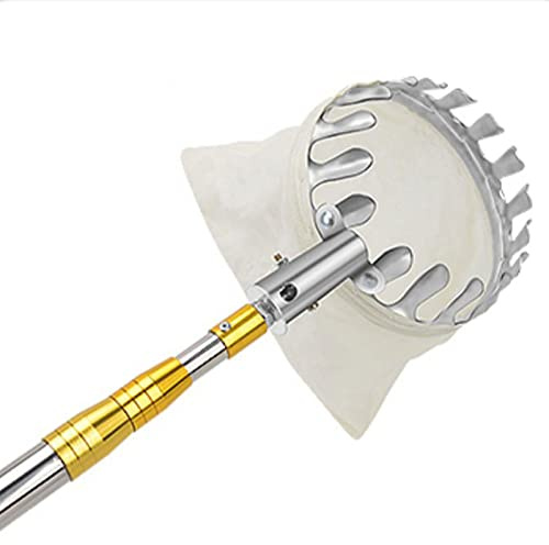 MMOU Obstpflücker mit Teleskopstange-Leichtes Aluminiumkorb und Edelstahl Genießen Sie das einfache Pflücken von Obst aus hoher Höhe(Yellow,6m(20ft))