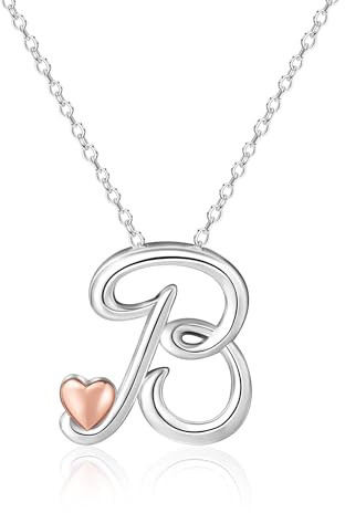Mesovor Silver Initial Necklace for Women, Sterling Silver Plated Jewelry | Classic Letter Name Pendant Necklace with Rose Gold Heart, Gifts for family Mother Sister Wife, 20 Inch Chain