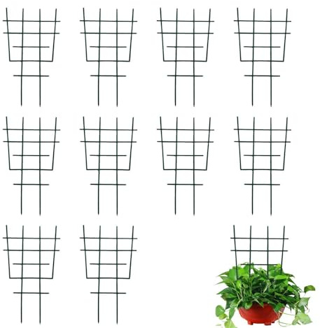 Enrejado para plantas en maceta, ajustable, resistente al óxido, pequeño, enrejado de jardín para interiores y exteriores, para vid, hiedra, jazmín, pothos, flor de Monstera