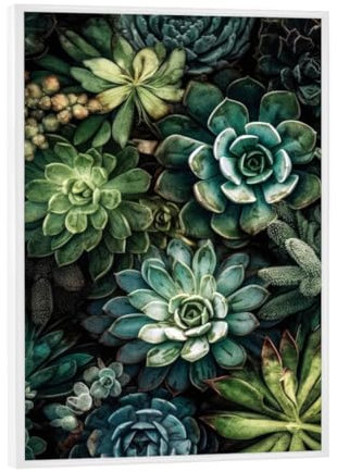 artboxONE Poster mit weiem Rahmen 18x13 cm Natur Sukkulenten und Kakteen R - Bild sukkulenten Blumen Blumen