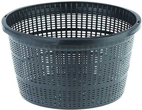 Oase 52632 Cestello per Piante Rotondo, Nero
