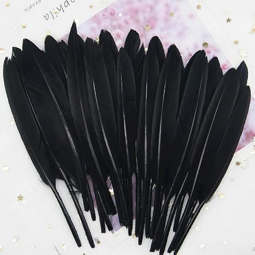 GreatRise 10-15cm Bunte Federn Natürliche Gänsefedern Federn zum Basteln Indianer Federn Dekoration Feder für DIY Handwerk Kostüme Hut Traumfänger Hochzeit Party Dekorationen Schwarz 50 Stück