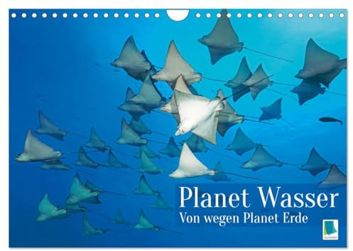 Planet Wasser: Von wegen Planet Erde (Wandkalender 2026 DIN A4 quer), CALVENDO Monatskalender: Über 70 Prozent des Planeten sind mit Wasser bedeckt: Warum also Planet Erde? (CALVENDO Orte)