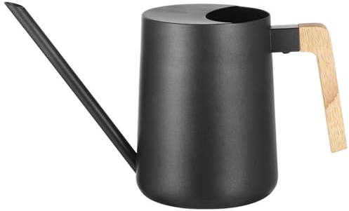 Annaffiatoio per interni, in metallo nero con beccuccio lungo, manico in legno, 992 g, resistente alla ruggine per piante d'appartamento