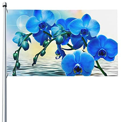 Schöne Orchidee über Wasser Außenflagge Polyester mit Messingösen, 3 x 5 Fuß Flaggen