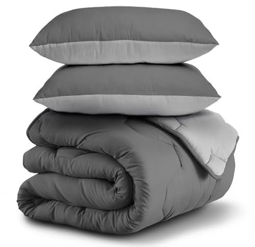 IDMarket - Couette 220x240 CM Abby Bicolore Gris Clair et Gris 300 GR + 2 oreillers