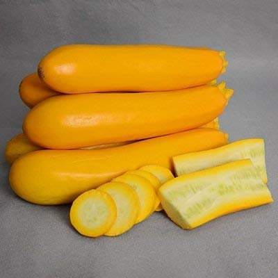 50 sementi biologiche di Yellowfin Squash Organic