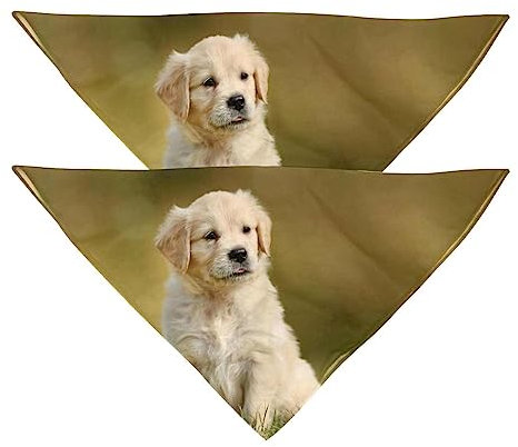 Passendes Set mit Hundehalstüchern, Hundelätzchen, Schal, Dreieckstuch für Hunde, Katzen, Haustierbesitzer, Mutter und Vater, 2er-Pack,Golden Retriever Schönes Tier