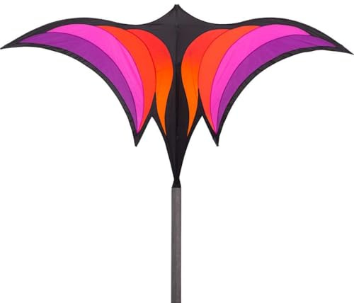 HQ Design Brasingtons Kites Flugdrachen Einleiner Drachen zum steigen Lassen wenig Wind ab 14 Jahre inkl Organza-Drachenschwanz inkl 25kp Polyesterschnur 60m auf Spule ab 2 Bft