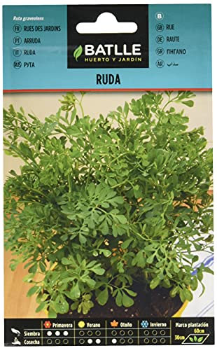 Graines aromatiques de Batlle - Rue des Jardins (1g), vert