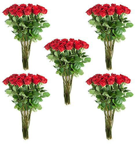100 langstielige rote Rosen zur Hochzeit, Geburtstag, Jahrestag oder den Heiratsantrag - frische Schnittblumen