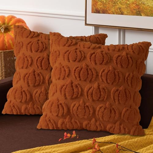 Benjia Fall 16x16 Throw Pillow Covers Set of 2, Autumn Rust Pumpkin Throw Pillow Cases Soft Plush Faux Fur Wool 40 x 40 cm Autumn Cushion Case for Indoor Home Bedroom Couch Sofa Decor (Rust red)