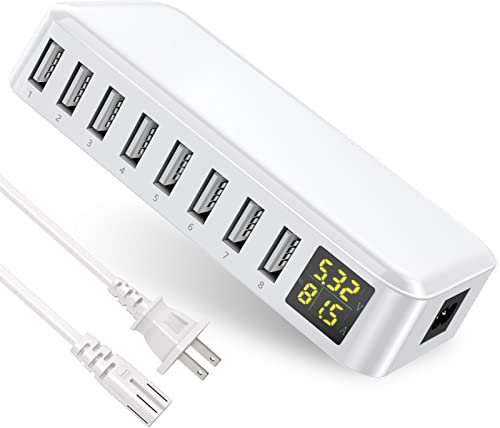 Caricatore USB,slitinto 8-Porte Stazione di Ricarica, Presa USB Multipla con display LCD, Alimentatore USB per iPhone 14/13/12/11, Galaxy S23/S22/S21, iPad, Cuffie, Tablet-Bianco