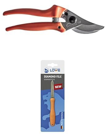 Original LÖWE Set bestehend aus Bypass Rosenschere 14.104 zum Schneiden von Rosen, Zweigen, Ästen und Schnittblumen & Diamantfeile 0023 für Scheren, Äxte und Werkzeuge