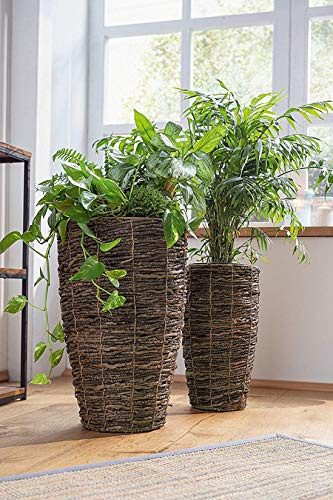 Dekoleidenschaft 2 Übertöpfe aus Kokoszweigen, 45 + 55 cm hoch, Blumentopf, Pflanztopf, Pflanzgefäß für Drinnen & Draussen, Balkon und Garten-Deko