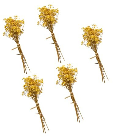 ULDIGI 5St Gypsophila Trockenblumen trockenblumenstrauss trockenblumen straus Vase Wohnkultur handgemachte Blumenstraußdekoration Blumenstrauß schmücken getrocknete Blumen Requisiten