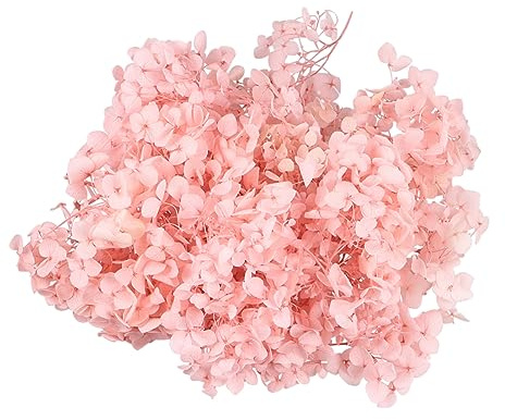 BESTYASH Fiori Secchi Naturali Ortensia Essiccati Eterni Forniture Per Nail Decorazioni Da Te Colore Rosa
