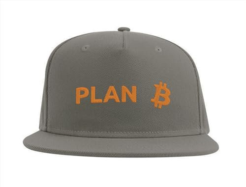 Lauthings Plan B Bitcoin Crypto Funny Mining Life BTC Snapback Cap Fullcap Embroidered Hat Grey, grau, Einheitsgröße