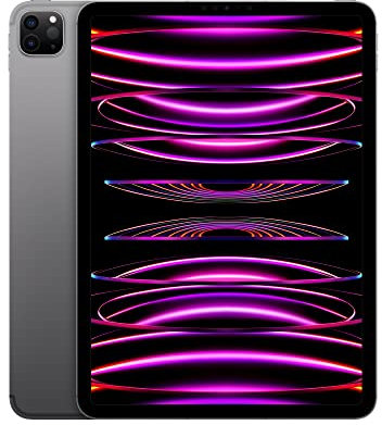 2022 Apple iPad Pro (11-pollici, Wi-Fi + Cellular, 256GB) - Grigio Siderale (Ricondizionato)