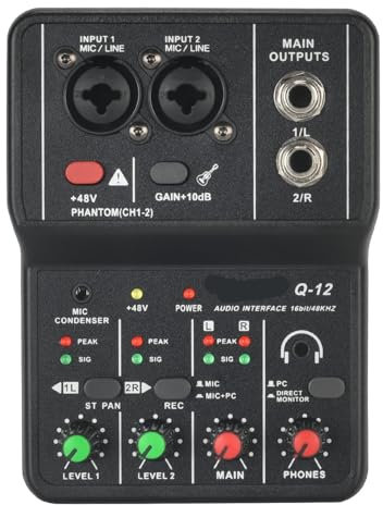 Mixer DJ, Interfaccia audio portatile Mixer scheda audio esterna professionale Mini USB Computer 48V
