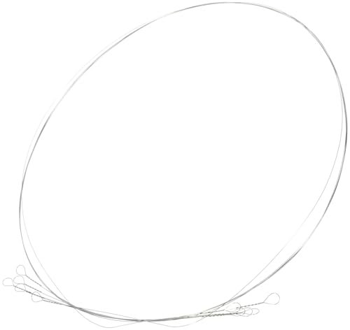 BEBEMOKO 5pezzi Filo Sostitutivo Per Affettare Formaggio Acciaio Inossidabile Utensile Da Cucina Per Tagliare Formaggi e Prosciutti e Facile Da Usare