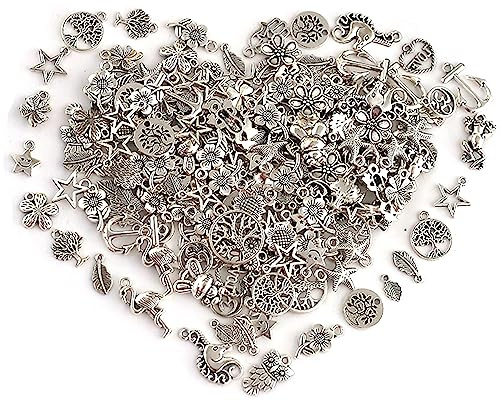 DAHI 110pcs Wholesale Bulk Lots Jewelry Making Charms Mixed Smooth Tibetan Silver Alloy Charms Pendants DIY for Bracelet Necklace Jewelry Making and Crafting, Metal, alloy(A)