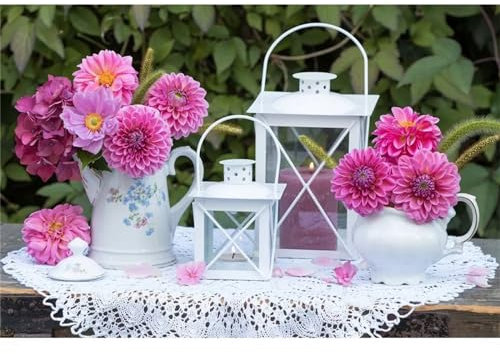 Aimaor Malen Nach Zahlen Erwachsene,Rosa Dahlie Paint by Numbers Adult Bastelset Malen-Nach-Zahlen Kinder Anfänger Leinwand Kreativ Set DIY Set Malen nach Zahlen（DIY Frame） 50x65cm