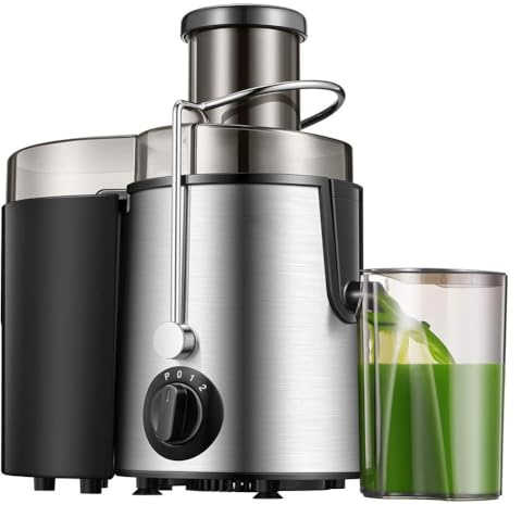 Slow Masticating Juicer Extractor Easy to Clean, 2 Speed Stainless Steel Cold Press Juicer with Juice Cup for Vegetable and Fruit Carrots, Oranges and Celery