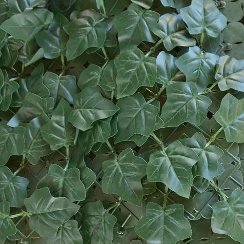 TENAX Divy Hedera Plus 100x300 cm Vert, Haie Synthétique avec Feuilles en PE Type Lierre à Occultation Totale pour Balcons, Jardins et Clôtures