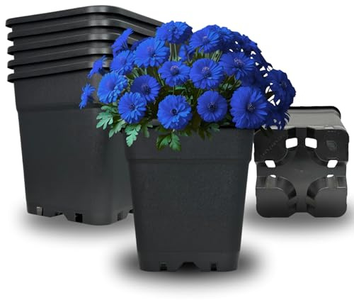 Cultonix Viereckiger Blumentopf 11L | Pflanztopf eckig Kunststoff, Anzuchttöpfe für Balkon & Terrasse, Blumentöpfe Indoor Outdoor, Einsatz für Pflanzkübel groß außen