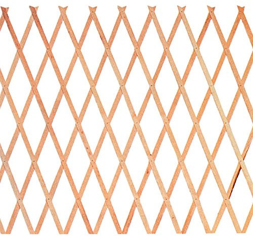 GDLC Traliccio Estensibile in Legno Dimensioni 100x200 Cm.
