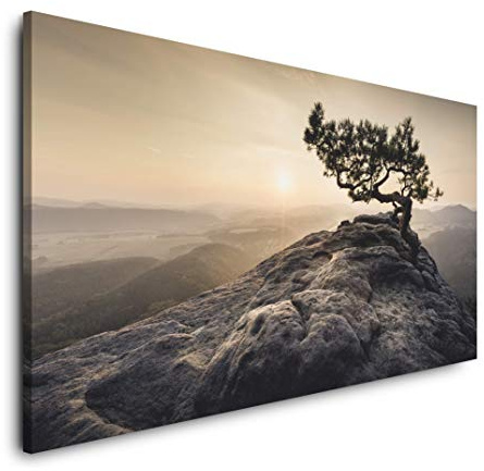 Sächsische Schweiz 120x 60cm Panorama Leinwand Bild XXL Format Wandbilder Wohnzimmer Wohnung Deko Kunstdrucke