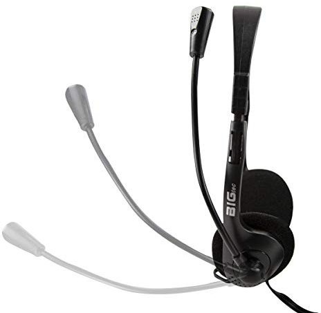BIGtec Casque avec microphone stéréo - 2 prises jack 3,5 mm - Léger - Réglable - Micro bras flexible - Contrôle du volume - Câble de 1,8 m - Pour PC, ordinateur portable, jeu, bureau, maison, bureau